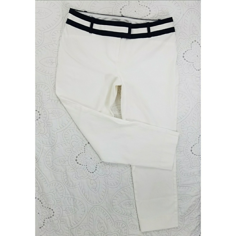 The Limited Exact Stretch Striped Waist Pants 10